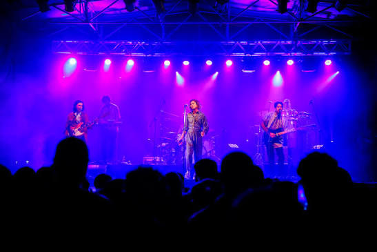 Audience at a Bandalos Chinos concert
